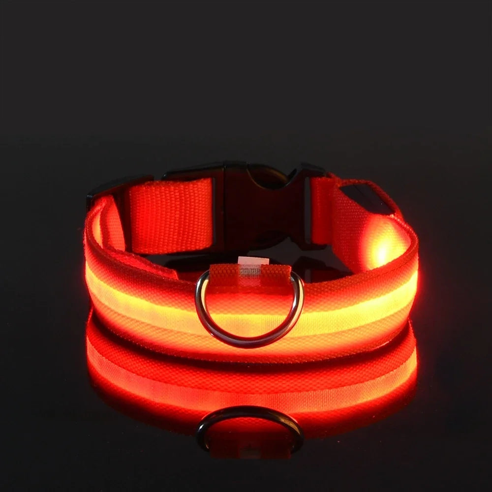 Leash pet Dogs Luminous Fluorescent  dog accessories collar