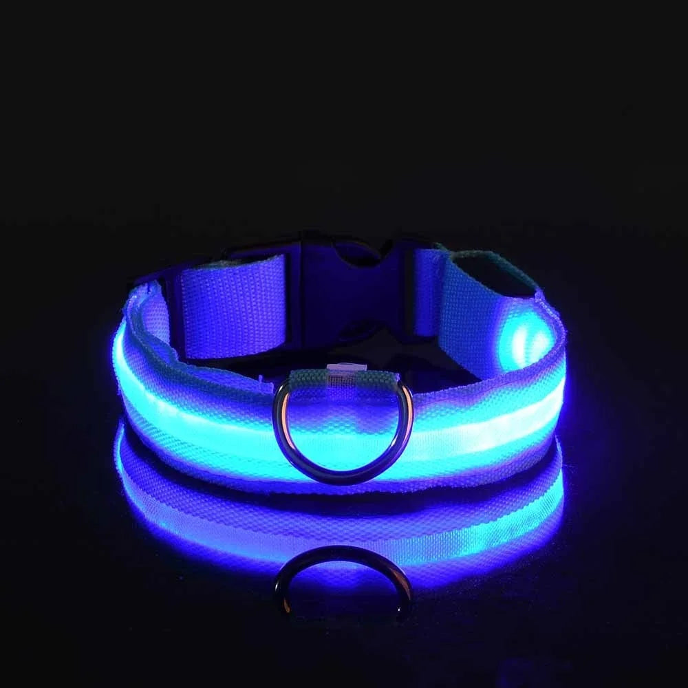 Leash pet Dogs Luminous Fluorescent  dog accessories collar