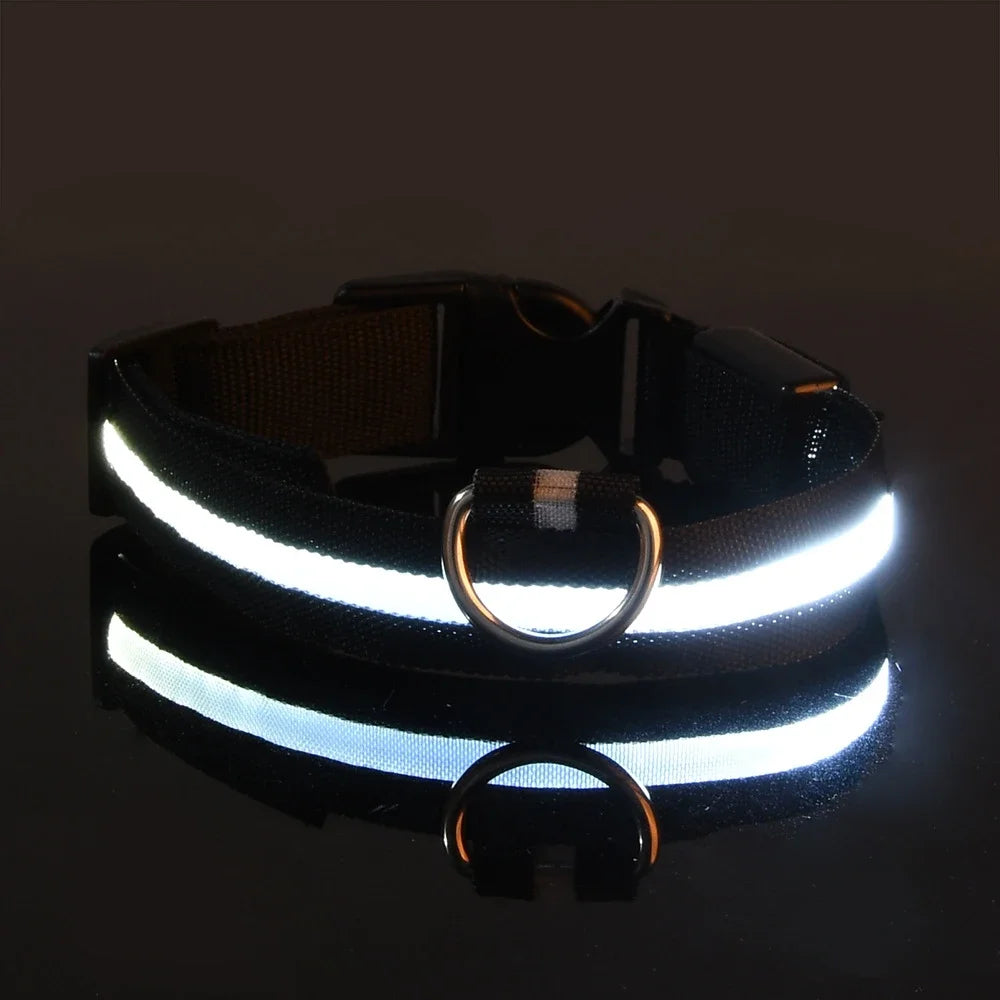 Leash pet Dogs Luminous Fluorescent  dog accessories collar