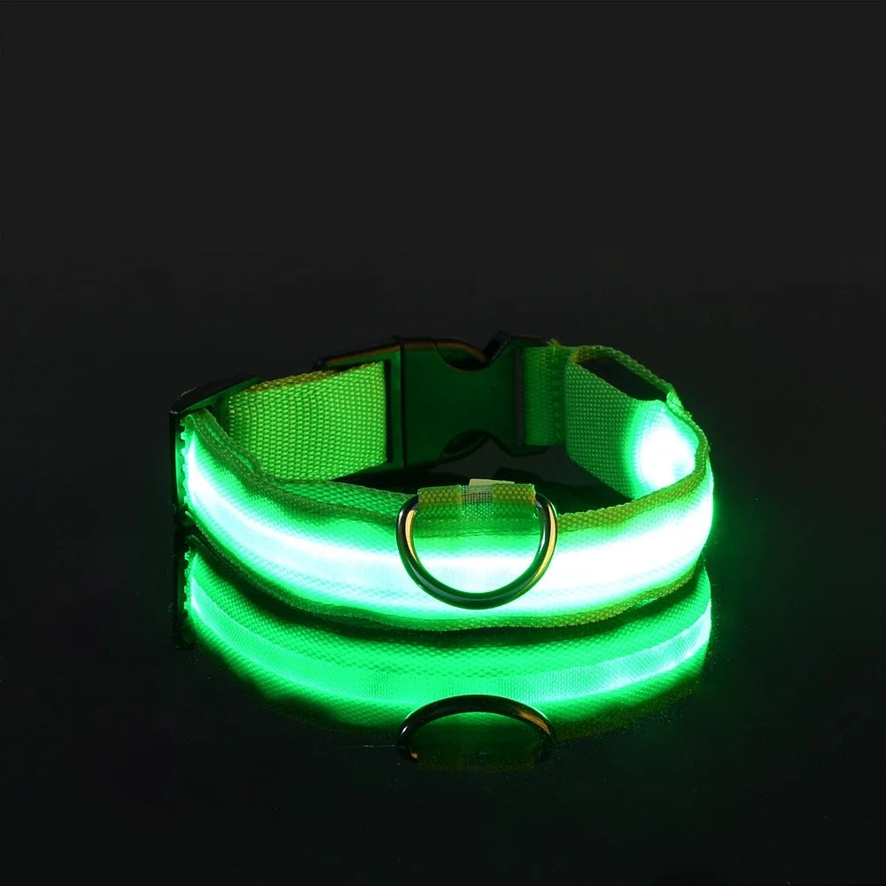 Leash pet Dogs Luminous Fluorescent  dog accessories collar