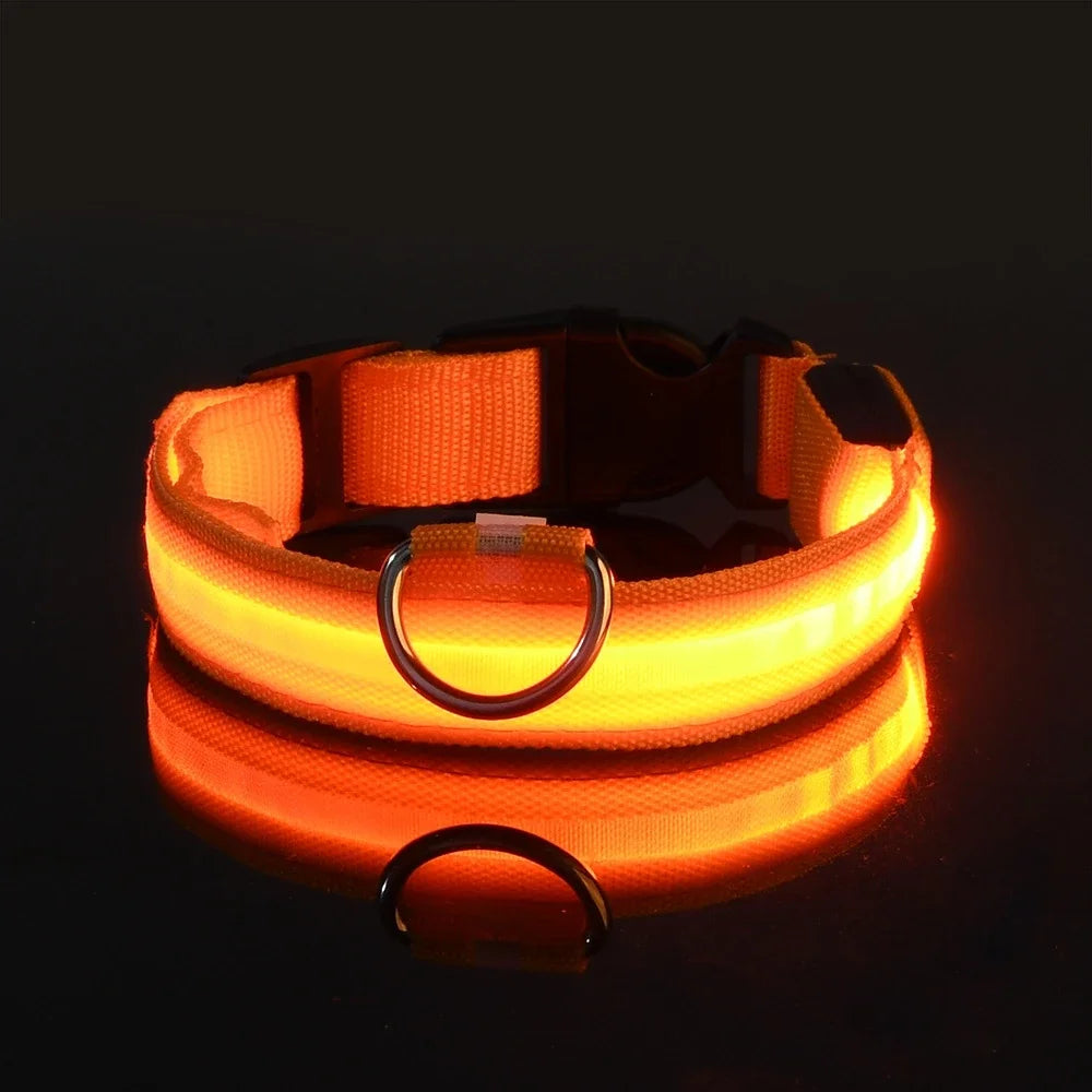 Leash pet Dogs Luminous Fluorescent  dog accessories collar