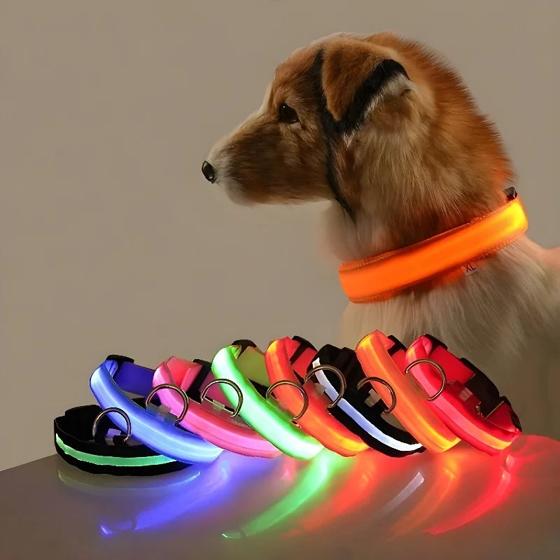 Leash pet Dogs Luminous Fluorescent  dog accessories collar