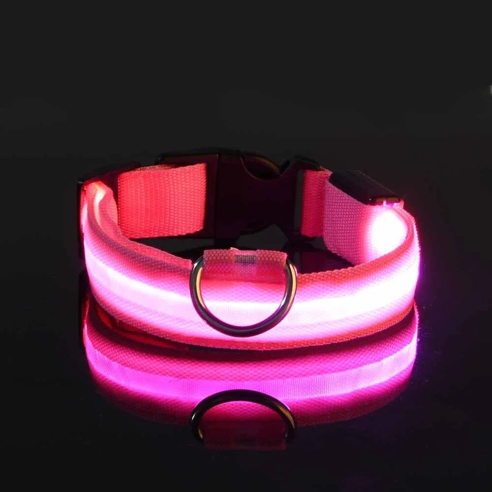 Leash pet Dogs Luminous Fluorescent  dog accessories collar