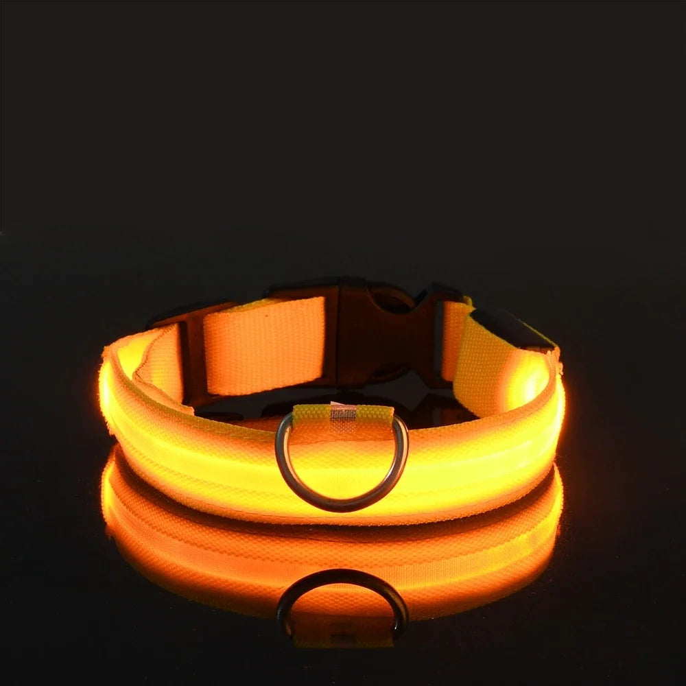 Leash pet Dogs Luminous Fluorescent  dog accessories collar